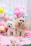 071D717B-8219-40F2-B41B-3A68A857D3AA.jpeg