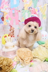 15FF899D-B11B-45B8-A793-B13E4DCBE900.jpeg