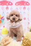 18DA80C9-5CF3-47DB-9A12-8B1437FAB813.jpeg