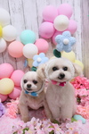 1CC27F20-46AC-48AD-854B-571CDCF4E962.jpeg