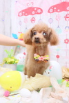 20303029-9B50-4F7E-9AAD-075B5D35444E.jpeg