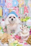 3283E287-81DB-4A48-88AB-BCB218B17B48.jpeg
