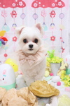 3E92AE40-F6B1-4526-81DF-56FF15E850C3.jpeg