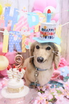 40910068-DA06-4F43-B19E-5D1C49B7F2AF.jpeg