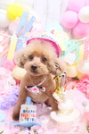 4B16FF27-21DC-4DBB-8435-7D58DF606BFD.jpeg