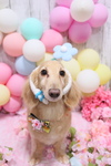5141578B-EE1A-4007-942F-B96ED8C084E3.jpeg
