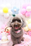 55269D66-39B9-4DA2-A208-0466271890DB.jpeg