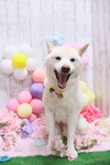5E865DD3-898D-4927-95B0-B512B5EE7C3E.jpeg