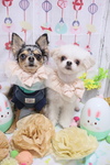 60A984D4-4531-4939-A194-DC7A4120D7F9.jpeg