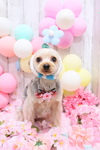 61B3E539-E7F8-4563-AB75-3067337ABC2C.jpeg