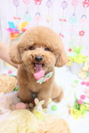 631A12BF-8643-485F-91FB-F3D04087A9CB.jpeg