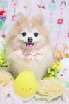 6757512D-70C3-4C31-A55B-269A344F4DDA.jpeg