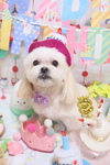 6DFD868D-266D-4770-944C-E852FEE87236.jpeg