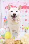 9243C4BF-6B54-4728-AB61-825D779EC9DA.jpeg