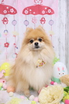 9D1D3DE8-2D44-41EA-8768-B1A34E9AD05F.jpeg