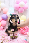 9E251DDB-6C80-489F-BBC7-2CB5D8A7F9A7.jpeg