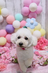 B46637DB-4463-4C24-A3C5-73F89FBD99BF.jpeg