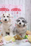 B496A182-B8AE-4ED6-802A-63D497356889.jpeg