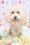 B58447F0-B783-4647-AA65-0D7B98BA9669.jpeg