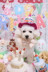 C8860A2D-6E27-4EA9-9297-E994536F9A85.jpeg