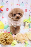 C95E09AF-A84A-47DC-9422-8BD505B623F4.jpeg
