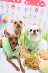 F32A96EF-9B65-4C9F-B958-DD91BABE29CC.jpeg