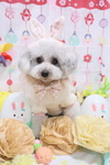 FF39E60D-FF99-4422-9055-200AD678773F.jpeg